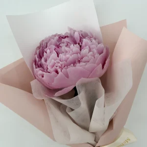 Flower 17