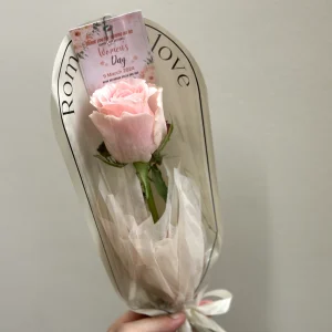 Flower 11
