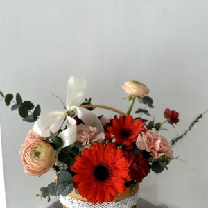 Harmony of Gerbera