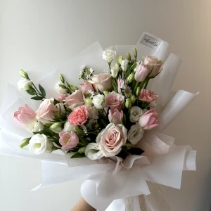 Blush Beauty